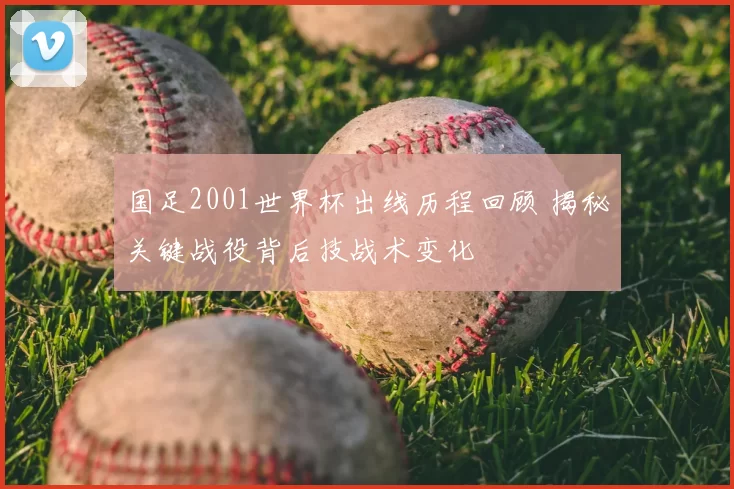 国足2001世界杯出线历程回顾 揭秘关键战役背后技战术变化
