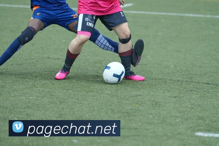 博雅app官网官方网站入口APP 高清赛事图